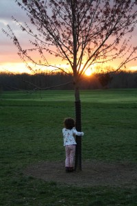 Child in the sunset