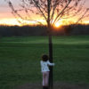 Child in the sunset