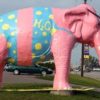 pink elephant