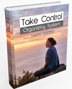 Take Control System